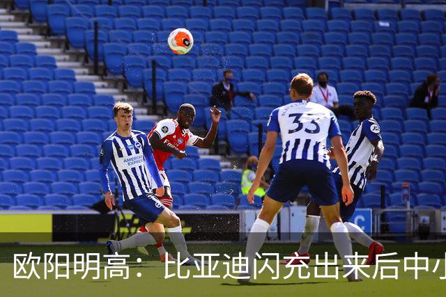 欧阳明高：比亚迪闪充出来后中小厂家、电池厂很焦虑 因为闪充投资太大