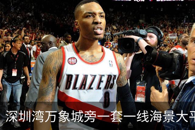 深圳湾万象城旁一套一线海景大平层拍卖，被人5827万竞得