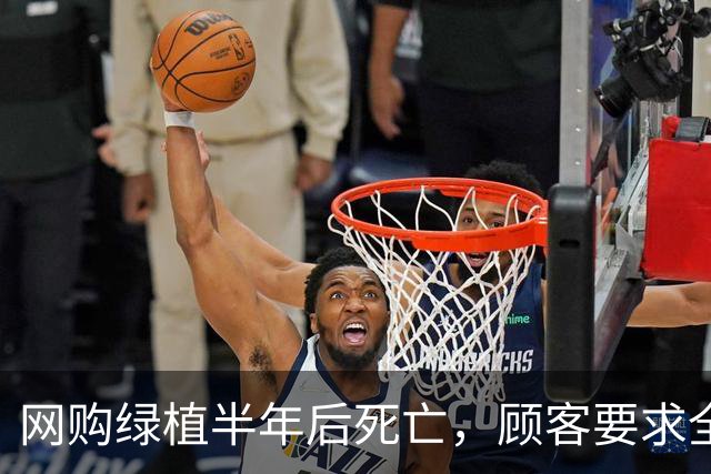 网购绿植半年后死亡，顾客要求全额退款，商家拒绝后被投诉到闭店并被告上法庭